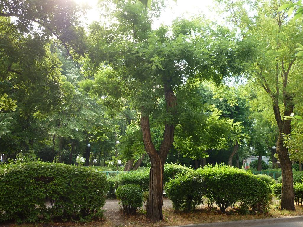 Sea Garden Plaza Apartment - Free Parking Burgas City Zimmer foto