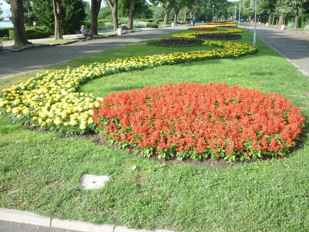 Sea Garden Plaza Apartment - Free Parking Burgas City Zimmer foto